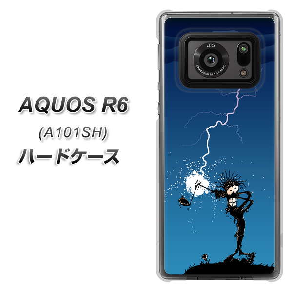 AQUOS R6 A101SH SoftBank 417 ゴルファーの苦難 ハードケース 背面印刷