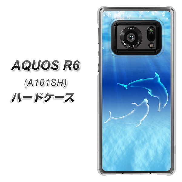 AQUOS R6 A101SH SoftBank 1048 海の守り神イルカ ハードケース 背面印刷