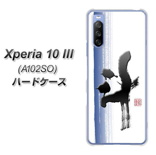 Xperia 10 III A102SO Y!mobile OE829 斗 ハードケース 背面印刷
