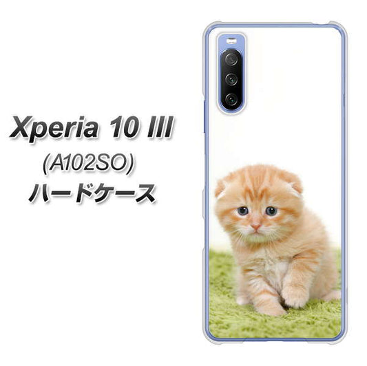 Xperia 10 III A102SO Y!mobile VA802 ネコこっそり ハードケース 背面印刷