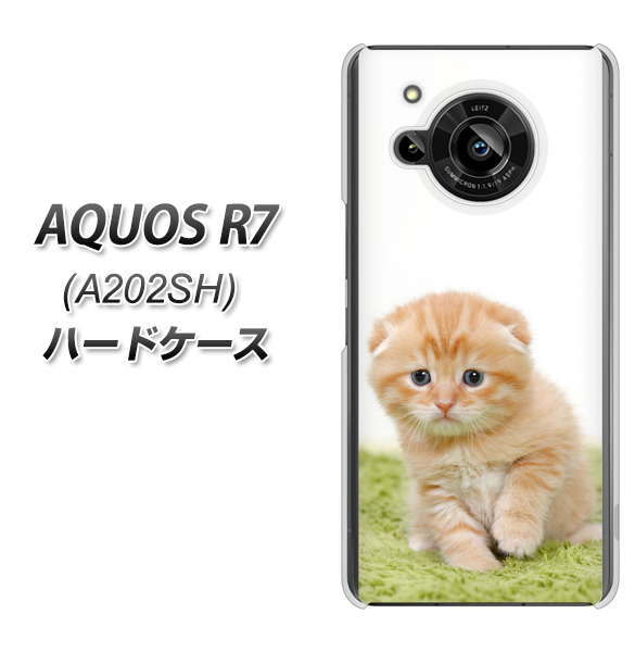 AQUOS R7 A202SH SoftBank VA802 ネコこっそり ハードケース 背面印刷