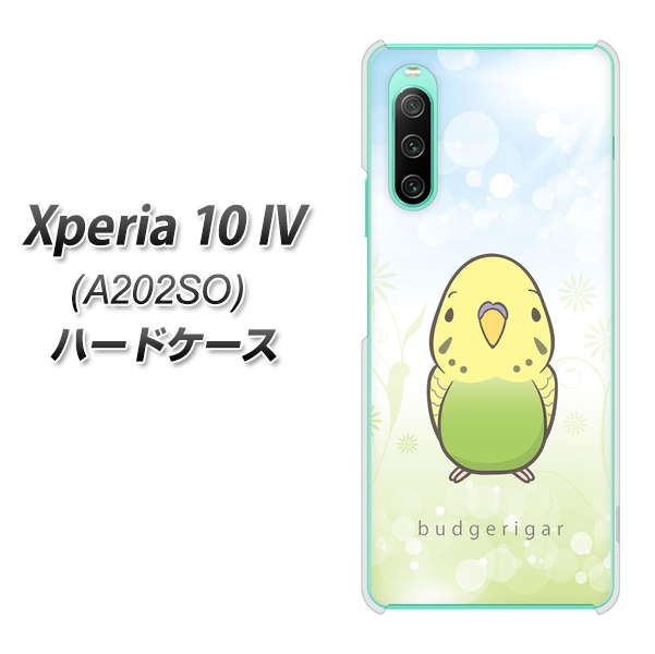 Xperia 10 IV A202SO SoftBank SC838 セキセイインコ グリーン ハードケース 背面印刷