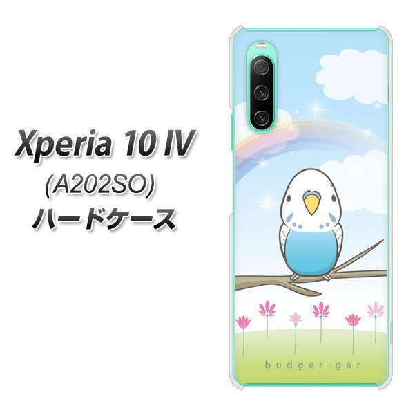 Xperia 10 IV A202SO SoftBank SC839 セキセイインコ ブルー ハードケース 背面印刷