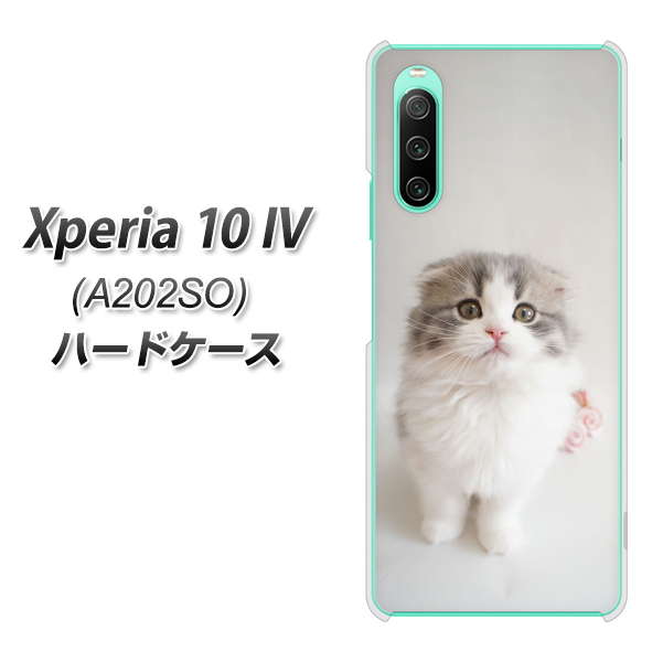 Xperia 10 IV A202SO SoftBank VA803 まっていますネコ ハードケース 背面印刷