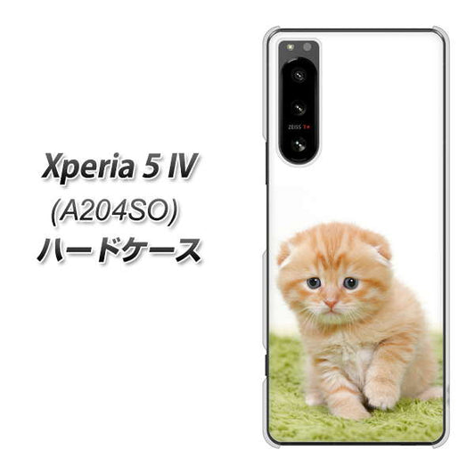 Xperia 5 IV A204SO SoftBank VA802 ネコこっそり ハードケース 背面印刷