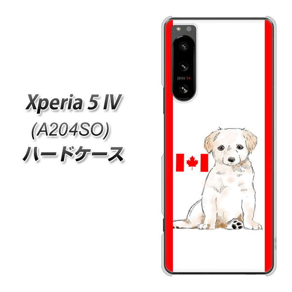Xperia 5 IV A204SO SoftBank YD824 ラブラドールレトリバー05 ハードケース 背面印刷