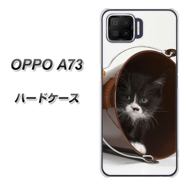 OPPO A73 VA800 ネコとバケツ ハードケース 背面印刷