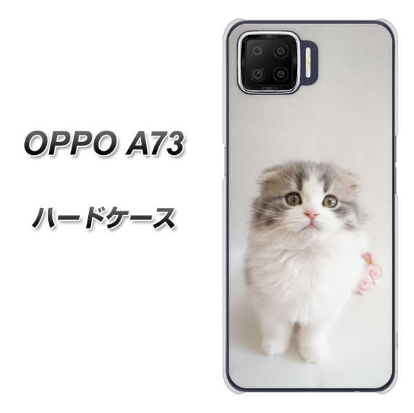 OPPO A73 VA803 まっていますネコ ハードケース 背面印刷