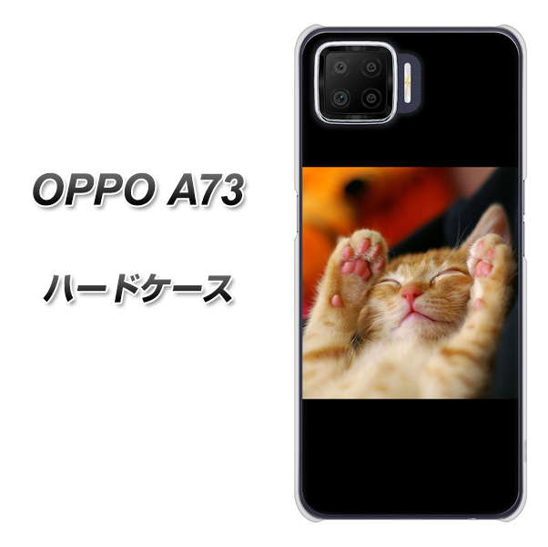 OPPO A73 VA804 爆睡するネコ ハードケース 背面印刷