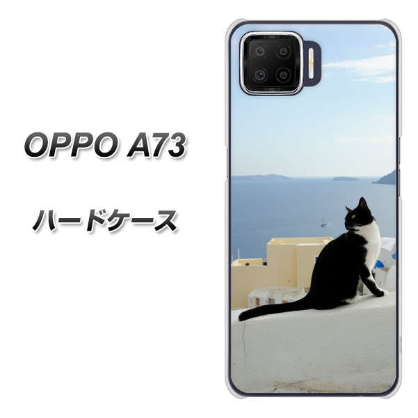 OPPO A73 VA805 ネコと地中海 ハードケース 背面印刷