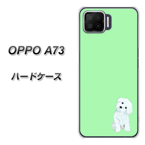 OPPO A73 YJ071 トイプードルホワイト（グリーン） ハードケース 背面印刷