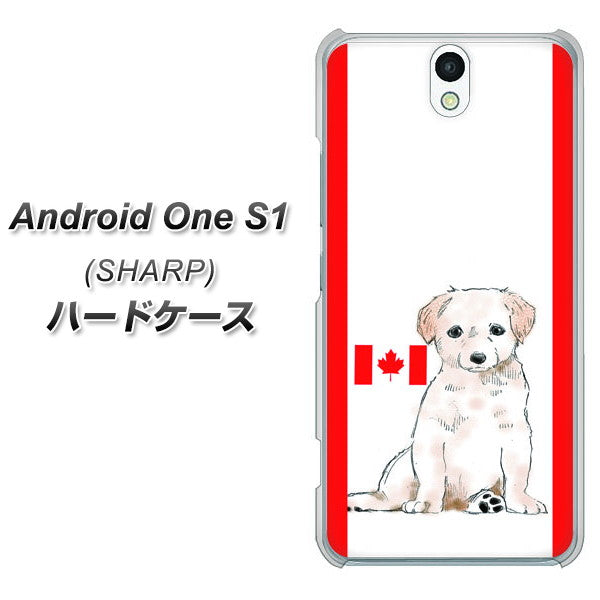 Android One S1 Y!mobile YD824 ラブラドールレトリバー05 ハードケース 背面印刷