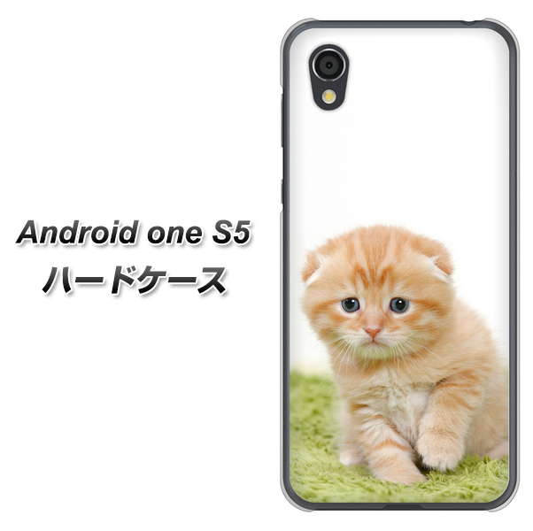 Android One S5 VA802 ネコこっそり ハードケース 背面印刷