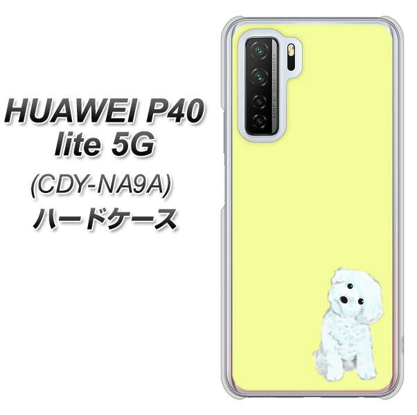 HUAWEI P40 lite 5G CDY-NA9A YJ072 トイプードルホワイト（イエロー） ハードケース 背面印刷