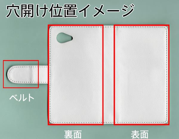Disney Mobile on docomo DM-01H 【名入れ】レザーハイクラス 手帳型ケース 耐衝撃