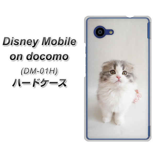 Disney Mobile on docomo DM-01H VA803 まっていますネコ ハードケース 背面印刷