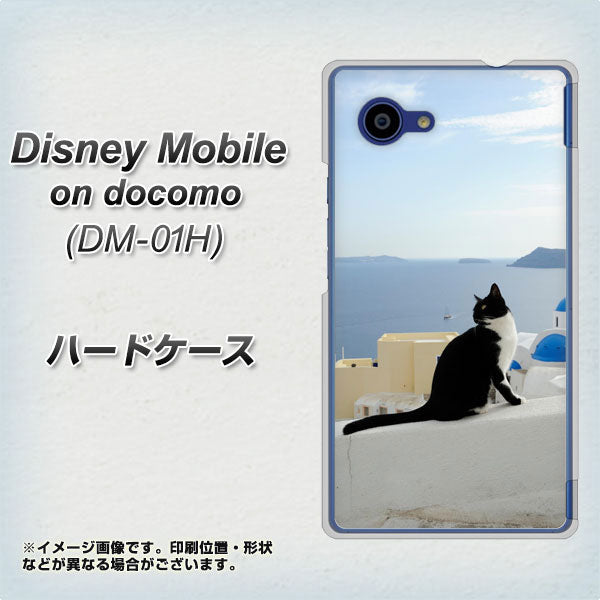 Disney Mobile on docomo DM-01H VA805 ネコと地中海 ハードケース 背面印刷