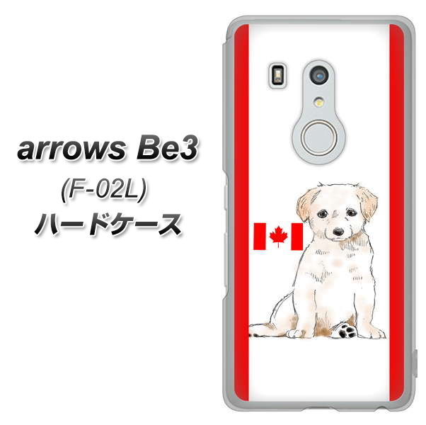 arrows Be3 F-02L docomo YD824 ラブラドールレトリバー05 ハードケース 背面印刷