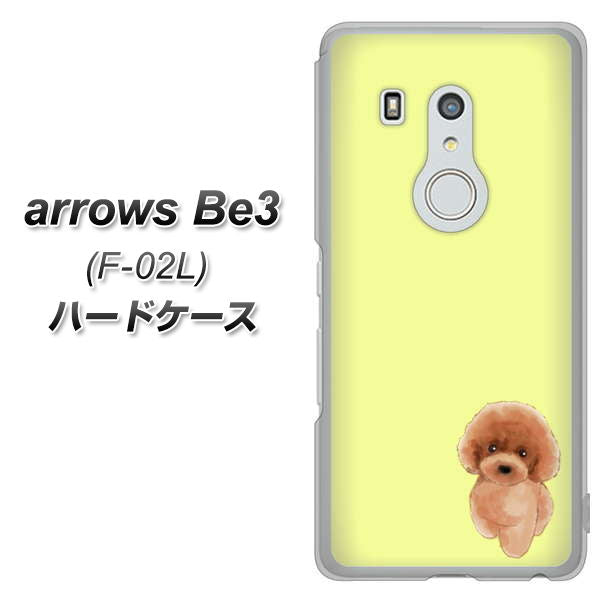arrows Be3 F-02L docomo YJ051 トイプードルレッド（イエロー） ハードケース 背面印刷