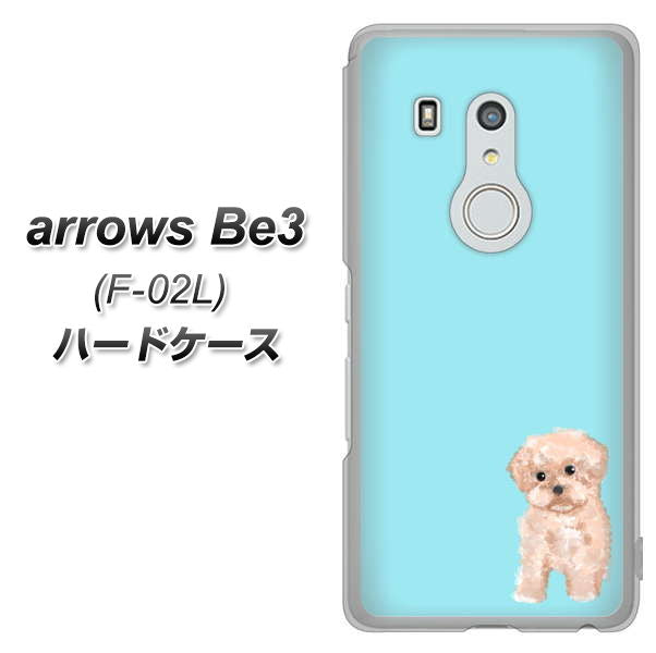 arrows Be3 F-02L docomo YJ062 トイプードルアプリコット（ブルー） ハードケース 背面印刷