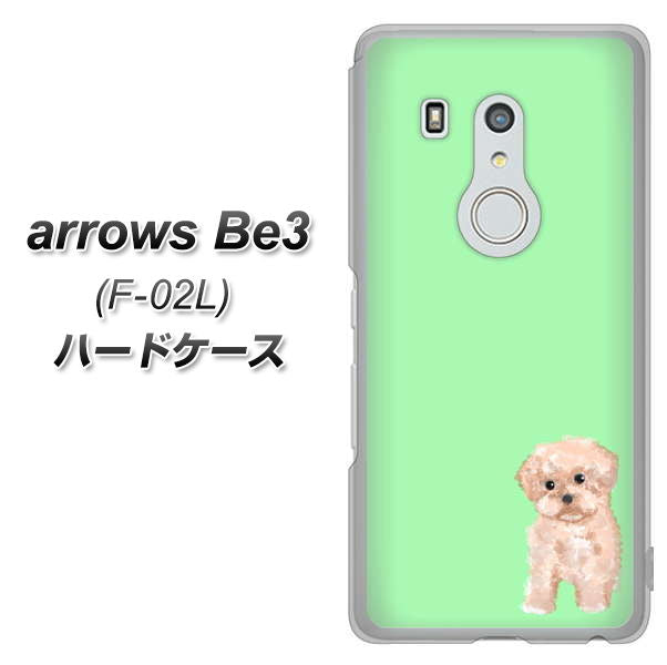 arrows Be3 F-02L docomo YJ063 トイプードルアプリコット（グリーン） ハードケース 背面印刷