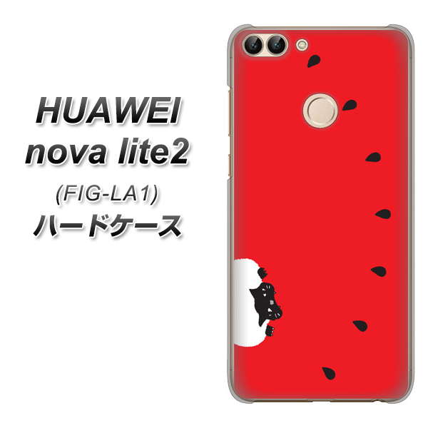 HUAWEI nova lite 2 FIG-LA1 IA812 すいかをかじるネコ ハードケース 背面印刷