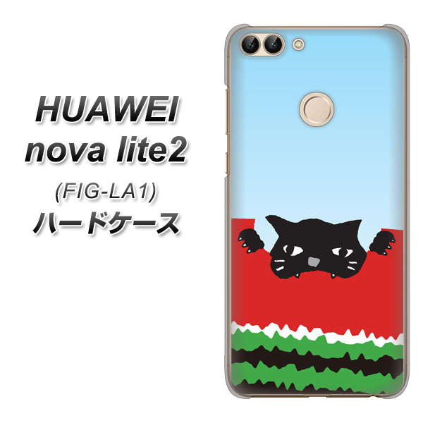 HUAWEI nova lite 2 FIG-LA1 IA815 すいかをかじるネコ(大) ハードケース 背面印刷