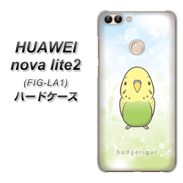 HUAWEI nova lite 2 FIG-LA1 SC838 セキセイインコ グリーン ハードケース 背面印刷