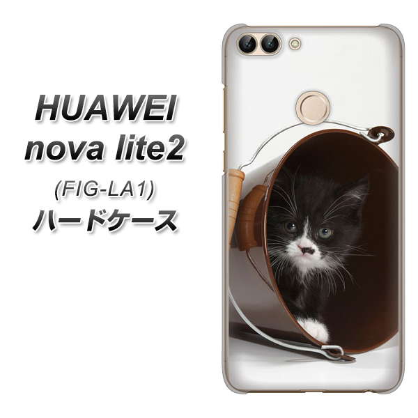 HUAWEI nova lite 2 FIG-LA1 VA800 ネコとバケツ ハードケース 背面印刷