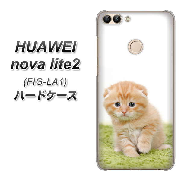 HUAWEI nova lite 2 FIG-LA1 VA802 ネコこっそり ハードケース 背面印刷