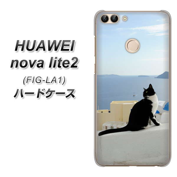 HUAWEI nova lite 2 FIG-LA1 VA805 ネコと地中海 ハードケース 背面印刷