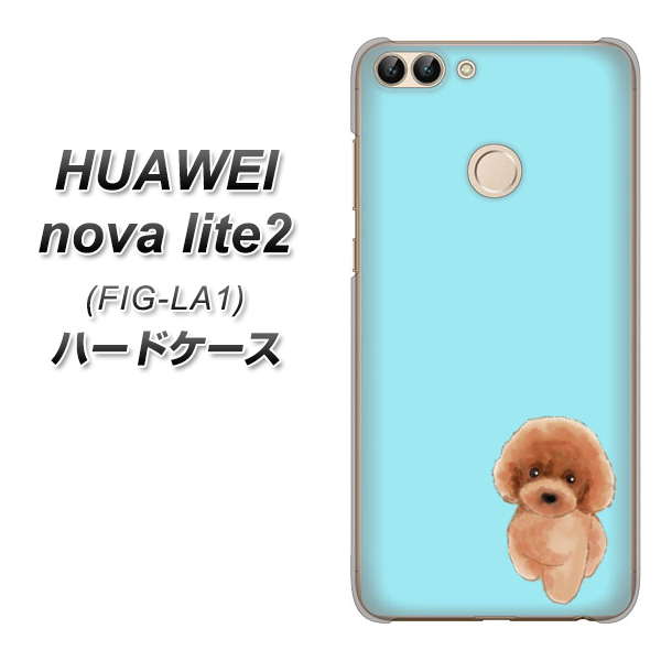HUAWEI nova lite 2 FIG-LA1 YJ050 トイプードルレッド（ブルー） ハードケース 背面印刷
