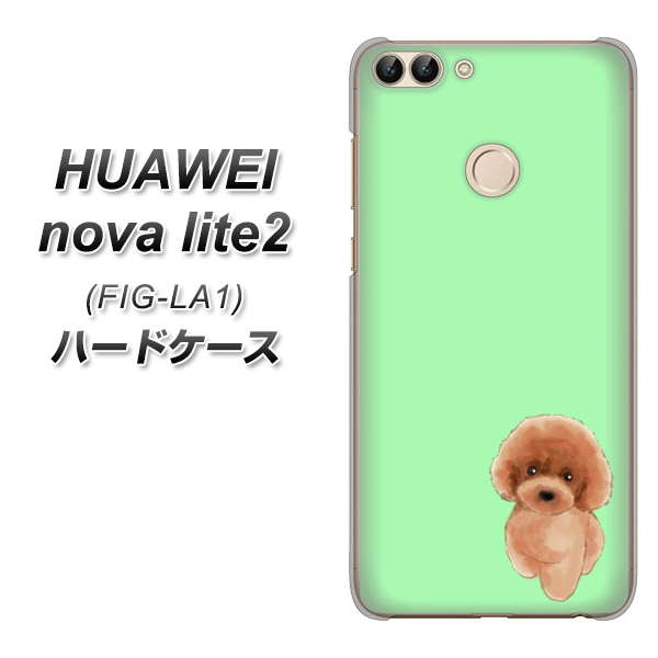 HUAWEI nova lite 2 FIG-LA1 YJ052 トイプードルレッド（ グリーン） ハードケース 背面印刷