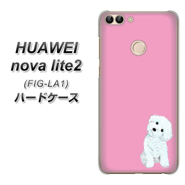 HUAWEI nova lite 2 FIG-LA1 YJ069 トイプードルホワイト（ピンク） ハードケース 背面印刷
