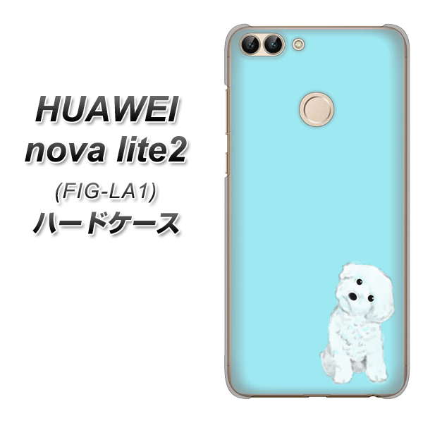 HUAWEI nova lite 2 FIG-LA1 YJ070 トイプードルホワイト（ブルー） ハードケース 背面印刷