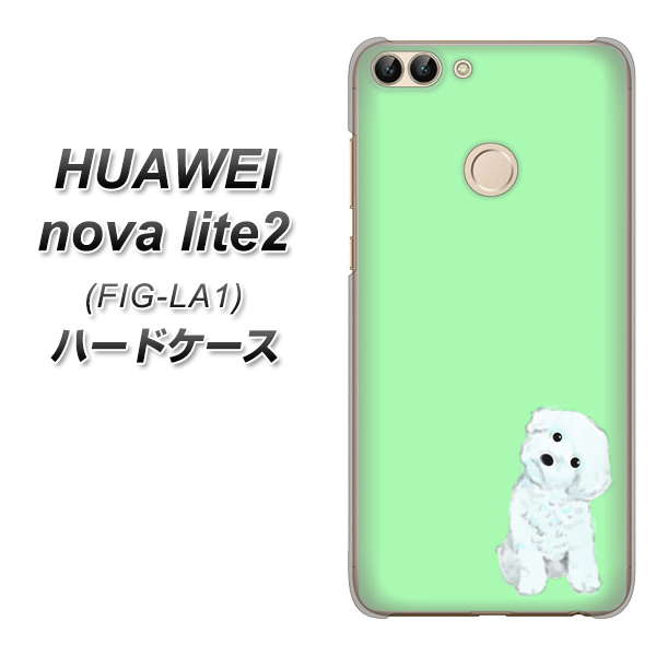 HUAWEI nova lite 2 FIG-LA1 YJ071 トイプードルホワイト（グリーン） ハードケース 背面印刷