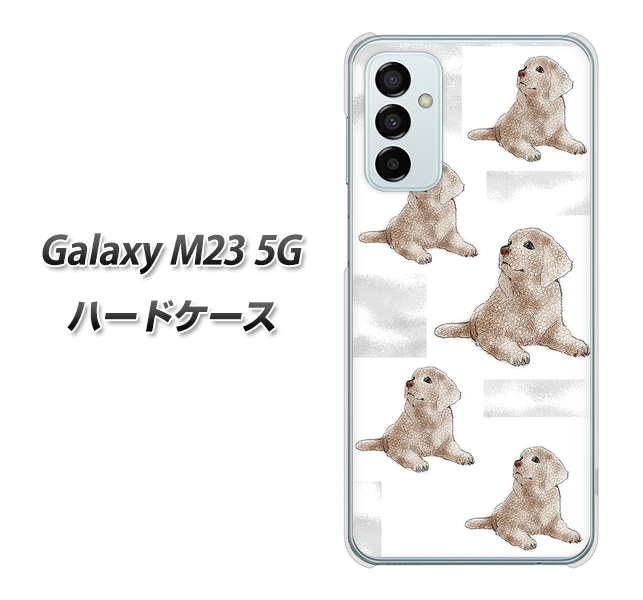 Galaxy M23 5G YD823 ラブラドールレトリバー04 ハードケース 背面印刷