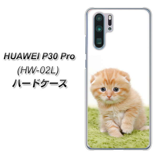 HUAWEI P30 Pro HW-02L docomo VA802 ネコこっそり ハードケース 背面印刷