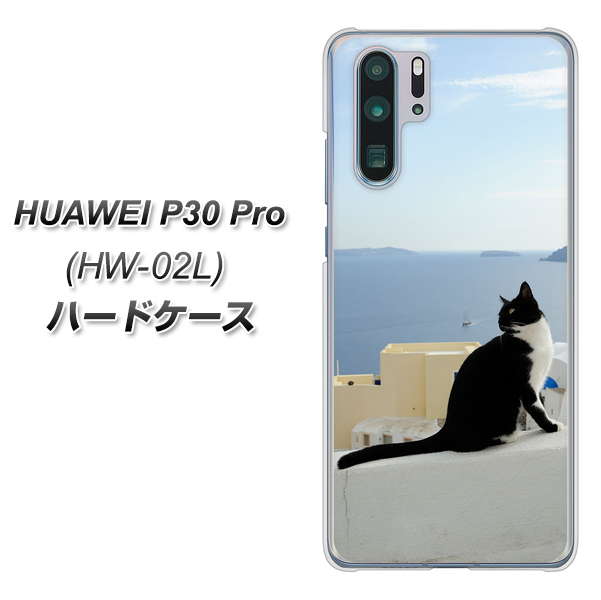 HUAWEI P30 Pro HW-02L docomo VA805 ネコと地中海 ハードケース 背面印刷