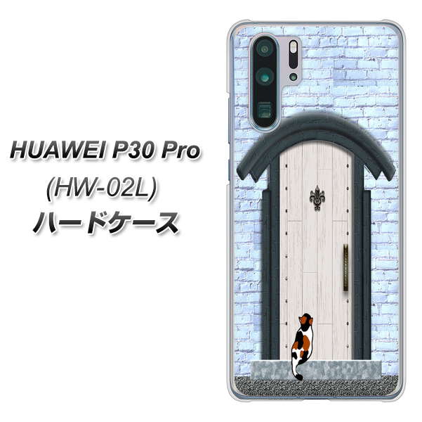 HUAWEI P30 Pro HW-02L docomo YA951 石ドア01 ハードケース 背面印刷