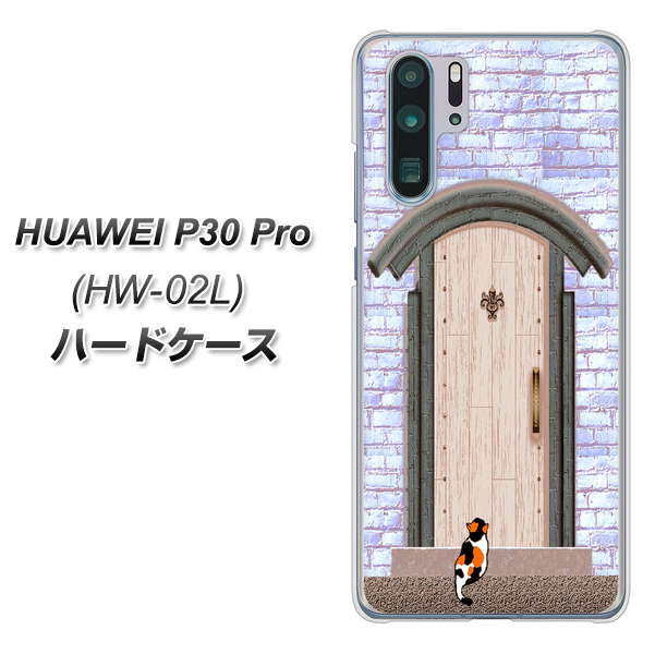 HUAWEI P30 Pro HW-02L docomo YA952 石ドア02 素材クリア ハードケース 背面印刷