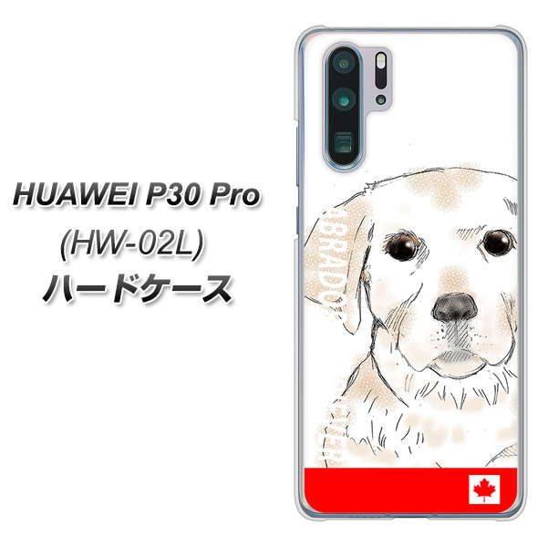 HUAWEI P30 Pro HW-02L docomo YD821 ラブラドールレトリバー02 ハードケース 背面印刷