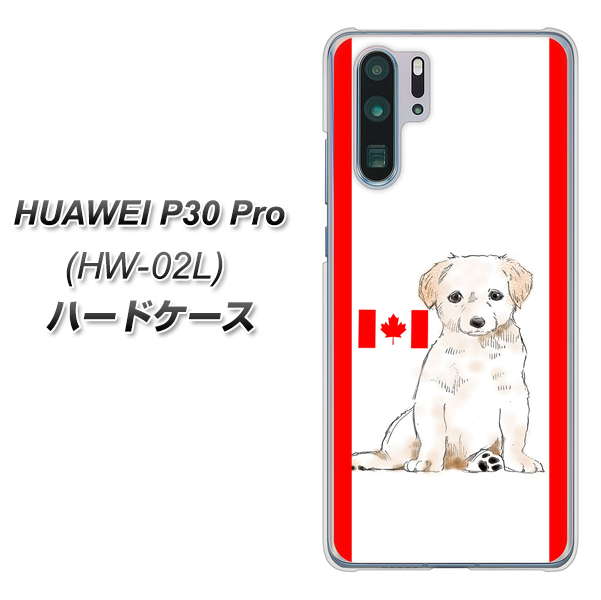 HUAWEI P30 Pro HW-02L docomo YD824 ラブラドールレトリバー05 ハードケース 背面印刷