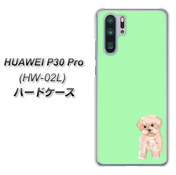 HUAWEI P30 Pro HW-02L docomo YJ063 トイプードルアプリコット（グリーン） ハードケース 背面印刷