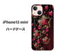 iPhone13 mini 高画質仕上げ 背面印刷 ハードケース【434 星の壁】