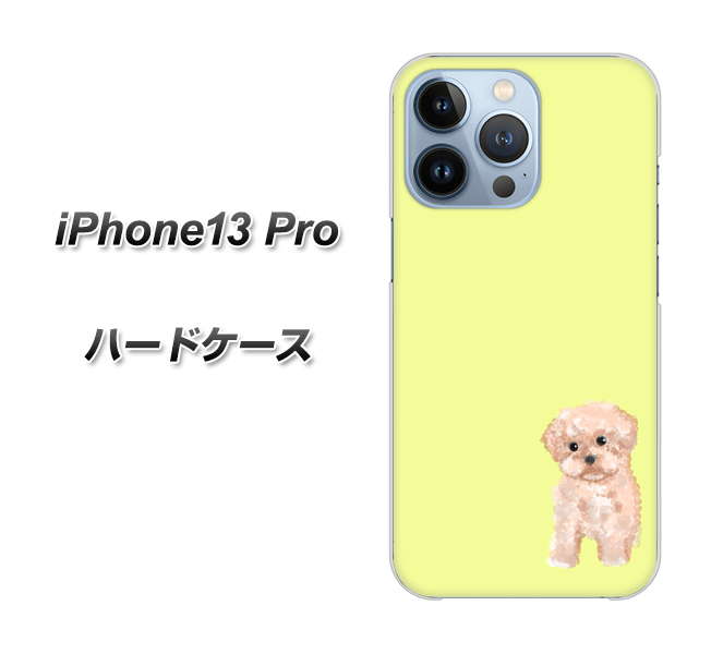 iPhone13 Pro 高画質仕上げ 背面印刷 ハードケース【YJ064 トイプードルアプリコット（イエロー）】