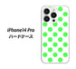 iPhone 14 Pro 1358 シンプルビッグ緑白 ハードケース 背面印刷