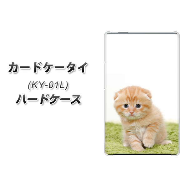 カードケータイ KY-01L docomo VA802 ネコこっそり ハードケース 背面印刷