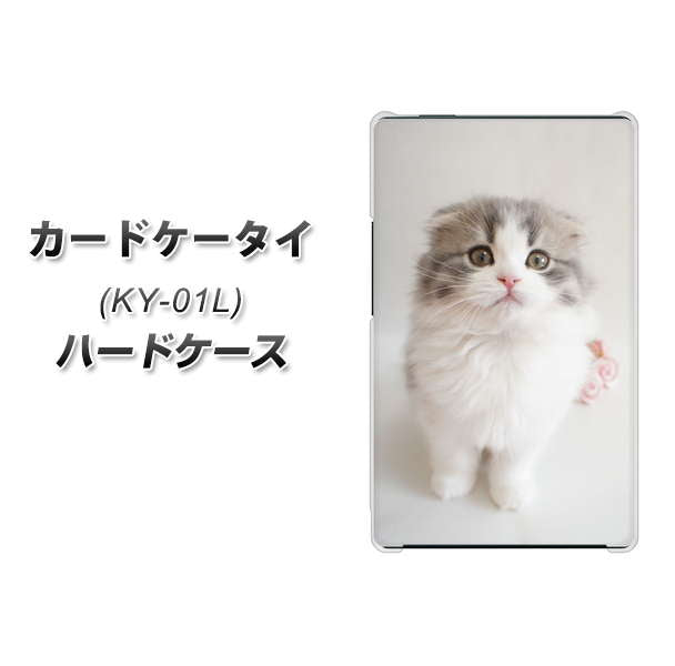 カードケータイ KY-01L docomo VA803 まっていますネコ ハードケース 背面印刷