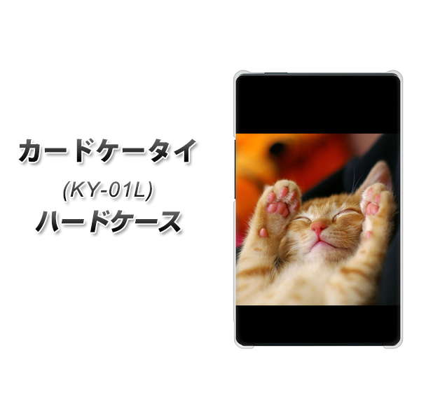 カードケータイ KY-01L docomo VA804 爆睡するネコ ハードケース 背面印刷